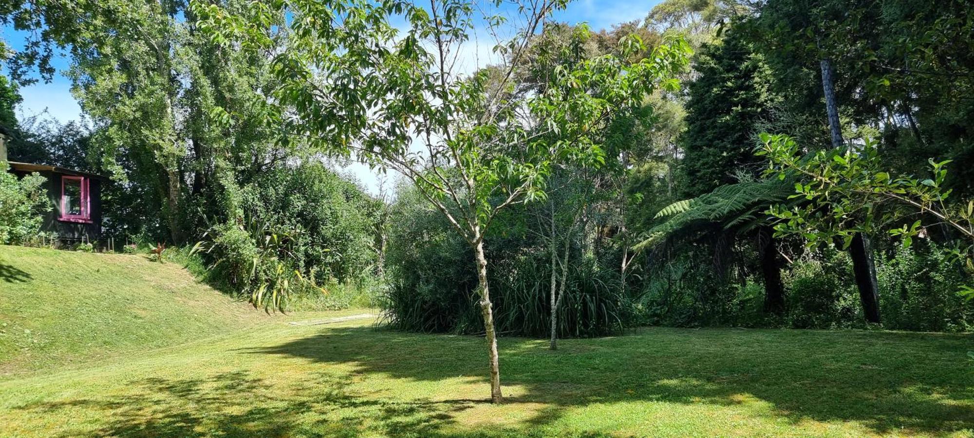 Pheasant Lodge Paparoa Exterior foto
